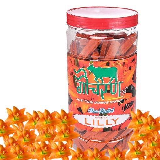 Lilly Dhoop
