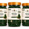 Three jars of Mogra Cone Dhoop incense by Vedic Arpan with orange lids and visible green cones inside.